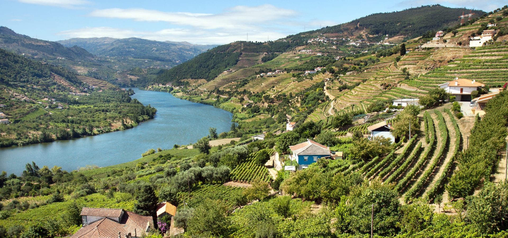 CRUCEROS DUERO CRUCEIROS DOURO DOURO RIVER CRUISES CRUCEROS POR EL DUERO CRUCEROS PORTUGAL CRUCEROS FLUVIALES OTOÑO CRUCEROS FLUVIALES VERANO